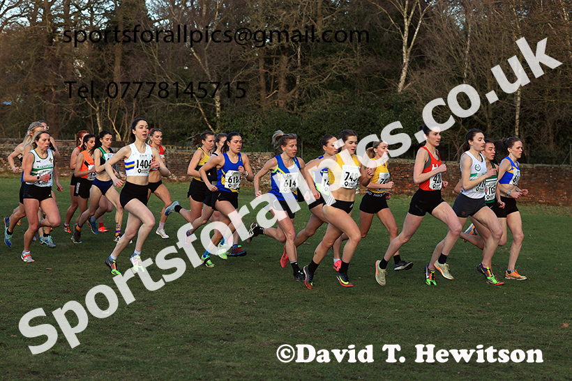 Senior womens 2025 Northern Cross Country Champs, Tatton Park, Knutsford, Cheshire. Photo: David T. Hewitson/Sports for All Pics